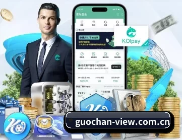 国产高清资源 APP 深度功能