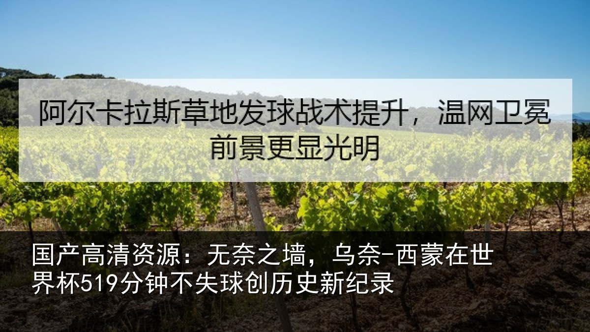国产高清资源：无奈之墙，乌奈-西蒙在世界杯519分钟不失球创历史新纪录